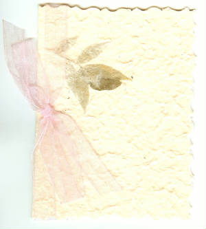 greetingcards002.jpg