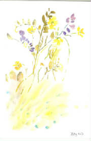 greetingcards009.jpg