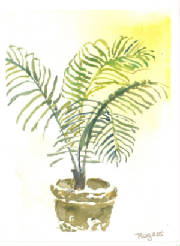 greetingcards014.jpg