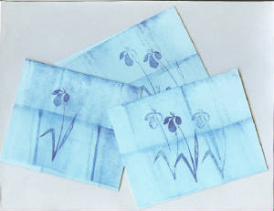 greetingcards108.jpg